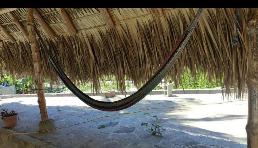 Lote 44 Guesthouse El Zonte Exterior photo